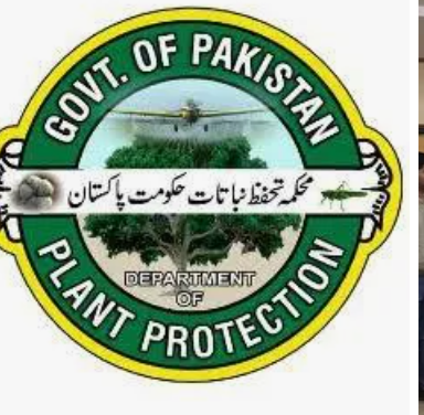 Screenshot_2025_0728_090600