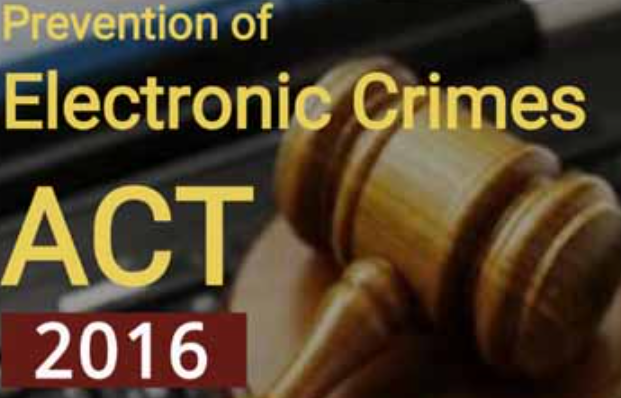 Screenshot_2025_1010_172153