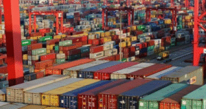 Screenshot_2025_1113_164757