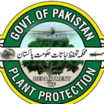 Screenshot_2025_1224_221252