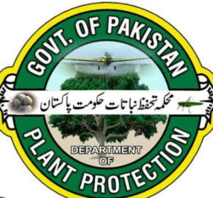 Screenshot_2025_1224_221252