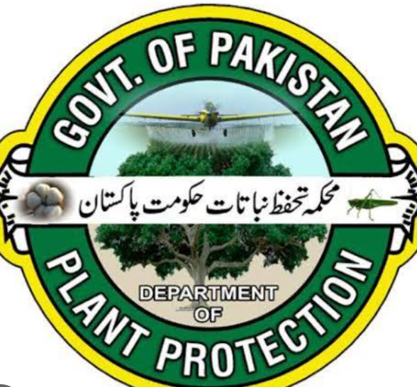 Screenshot_2025_1224_221252