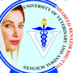 Screenshot_2026_0330_122002