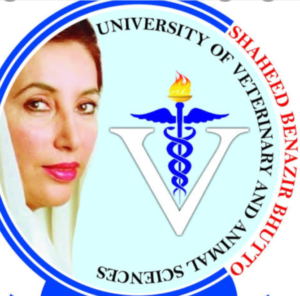 Screenshot_2026_0330_122002